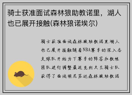 骑士获准面试森林狼助教诺里，湖人也已展开接触(森林狼诺埃尔)